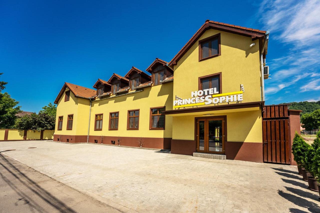 Hotel Princessophie Sighisoara Exterior photo