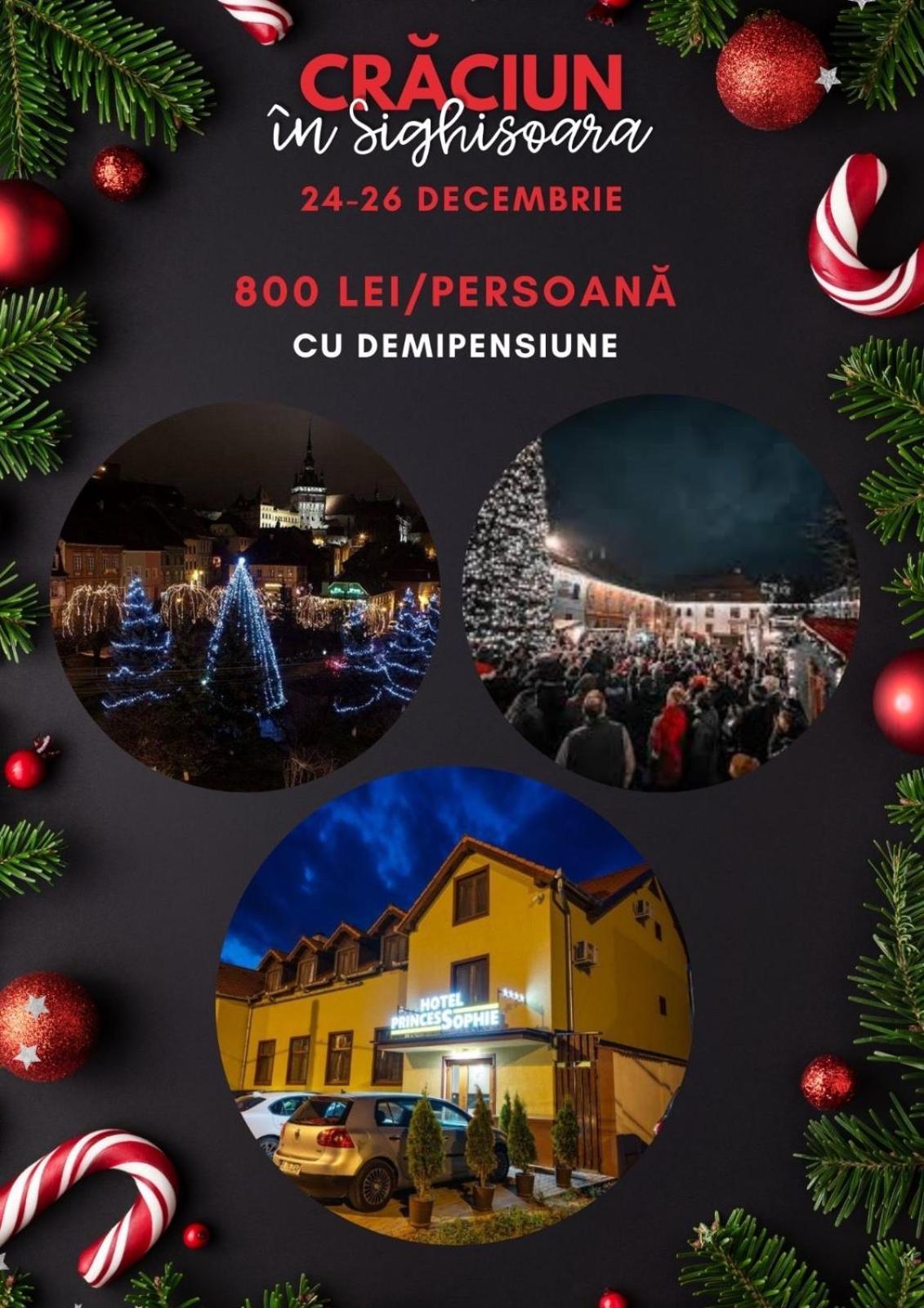 Hotel Princessophie Sighisoara Exterior photo